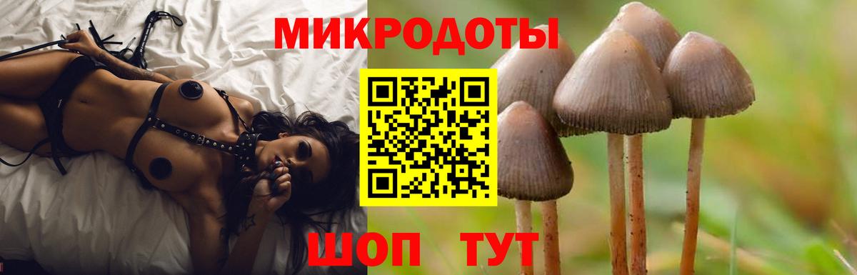 Псилоцибиновые грибы Psilocybe  Галлюциногенные грибы Psilocybine cubensis  Богородицк  Вход с VPN 